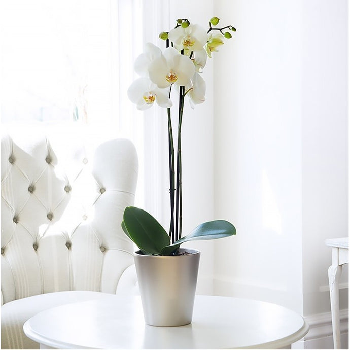 My #1 Staging Tip